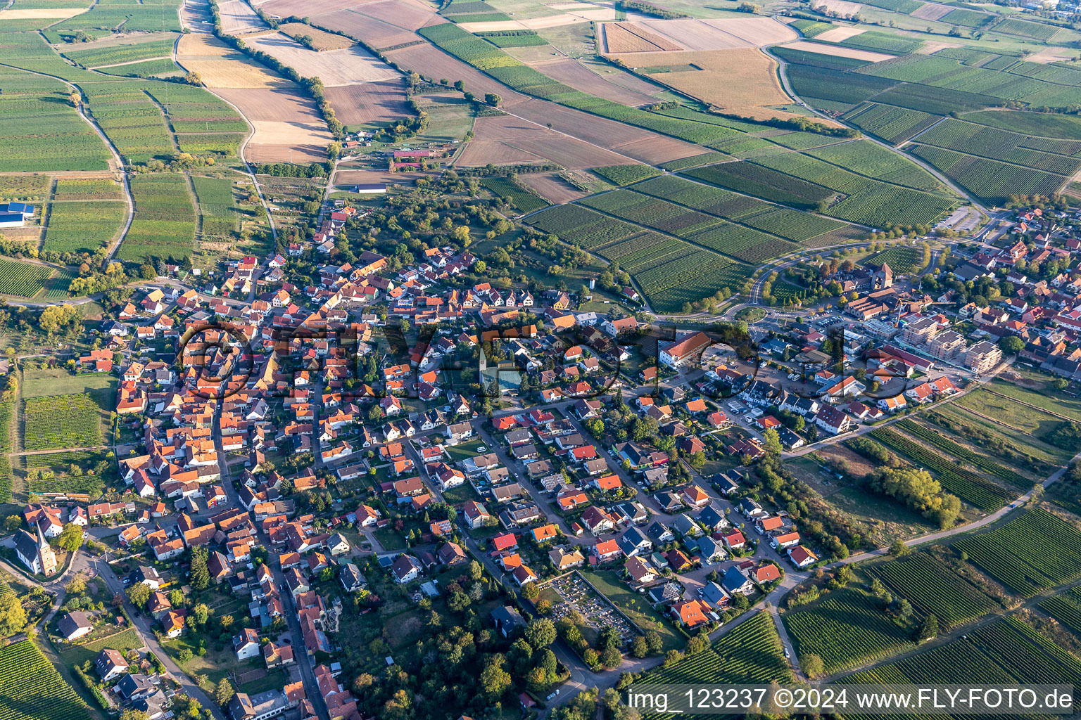 District Schweigen in Schweigen-Rechtenbach in the state Rhineland-Palatinate, Germany from the plane