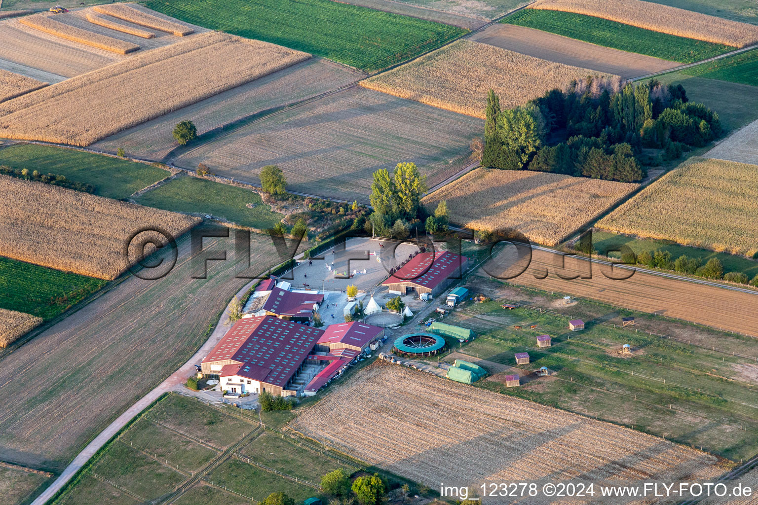 Horse breeding Ecurie Du Lac in Retschwiller in Grand Est, France