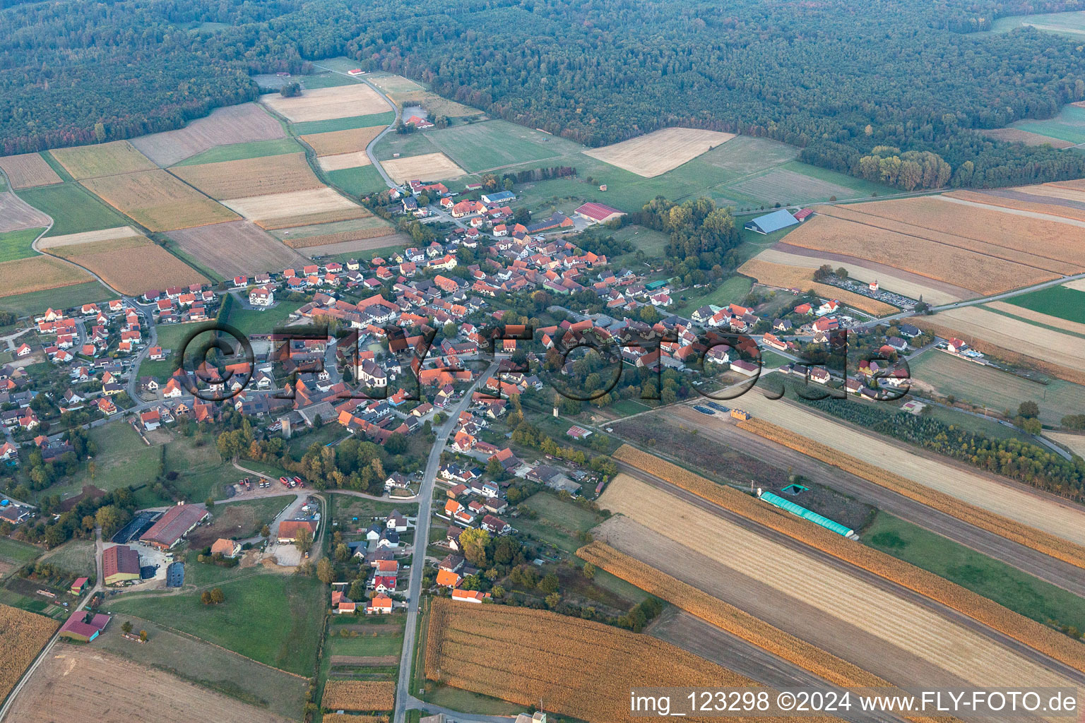 Bird's eye view of Salmbach in the state Bas-Rhin, France