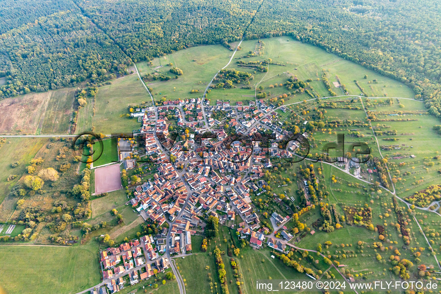 Aerial view of Town View of the streets and houses of the residential areas in Buechelberg in the state Rhineland-Palatinate, Germany