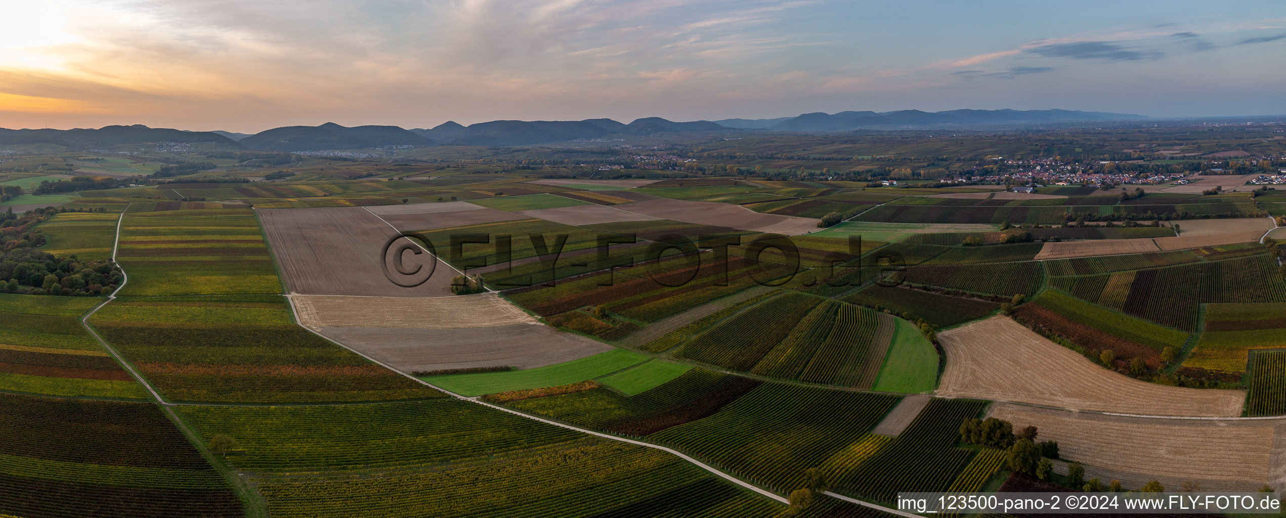 Panoramic perspective of a valley sourround by fields in automn colours in Billigheim-Ingenheim in the state Rhineland-Palatinate, Germany