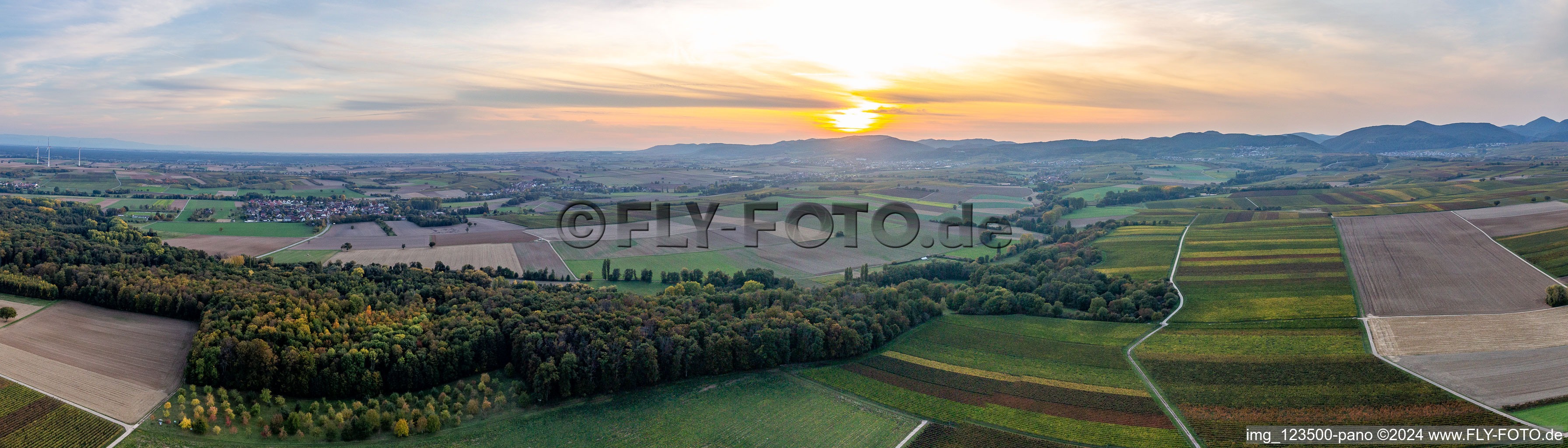 Panoramic perspective of forest in a valley sourround by fields in automn colours in Billigheim-Ingenheim in the state Rhineland-Palatinate, Germany