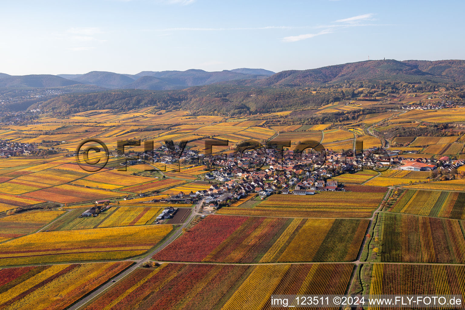 Autumnal discolored vegetation view village - view on the edge of wine yards in Kallstadt in the state Rhineland-Palatinate, Germany