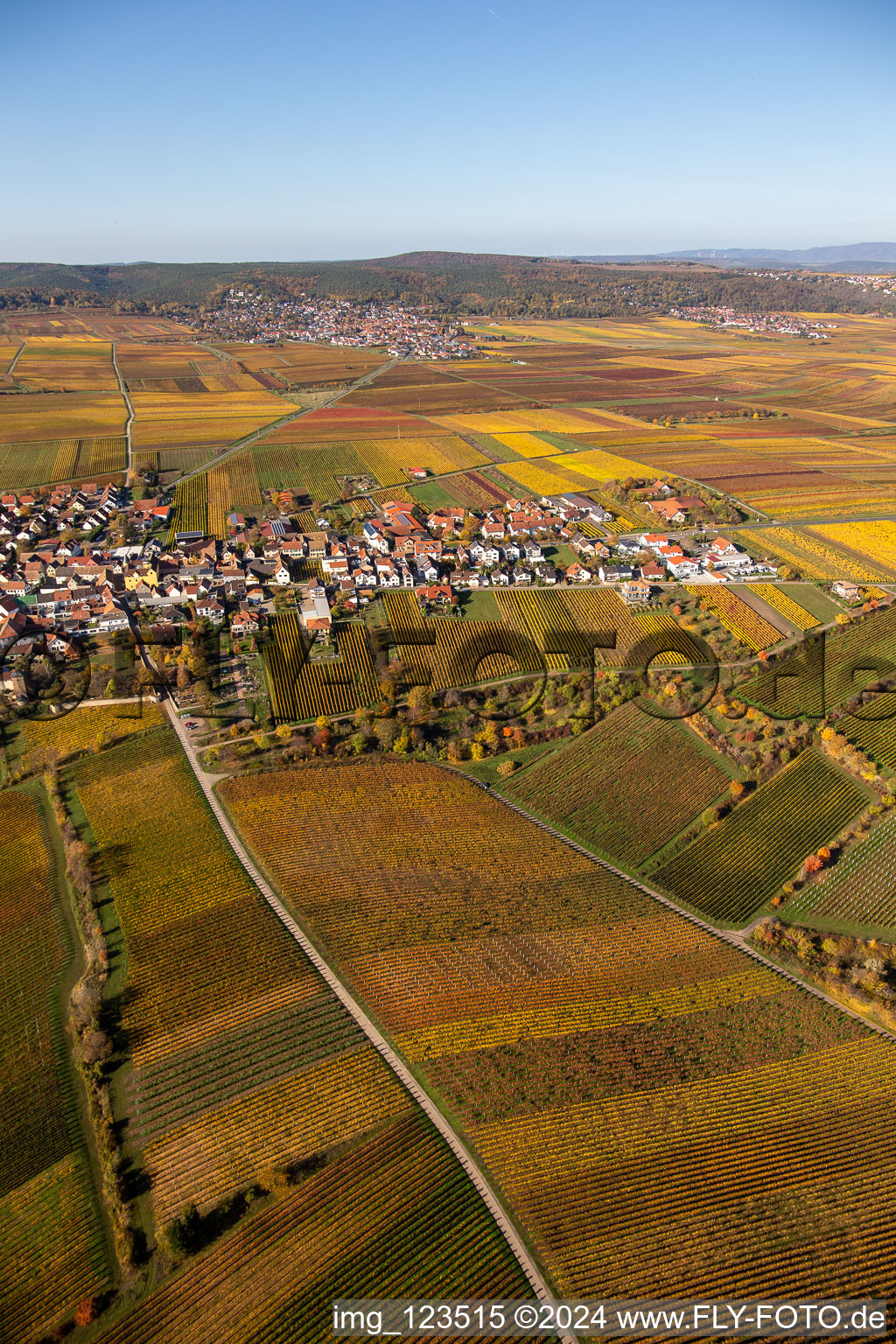 Village - view on the edge of wine yards in Weisenheim am Berg in the state Rhineland-Palatinate, Germany