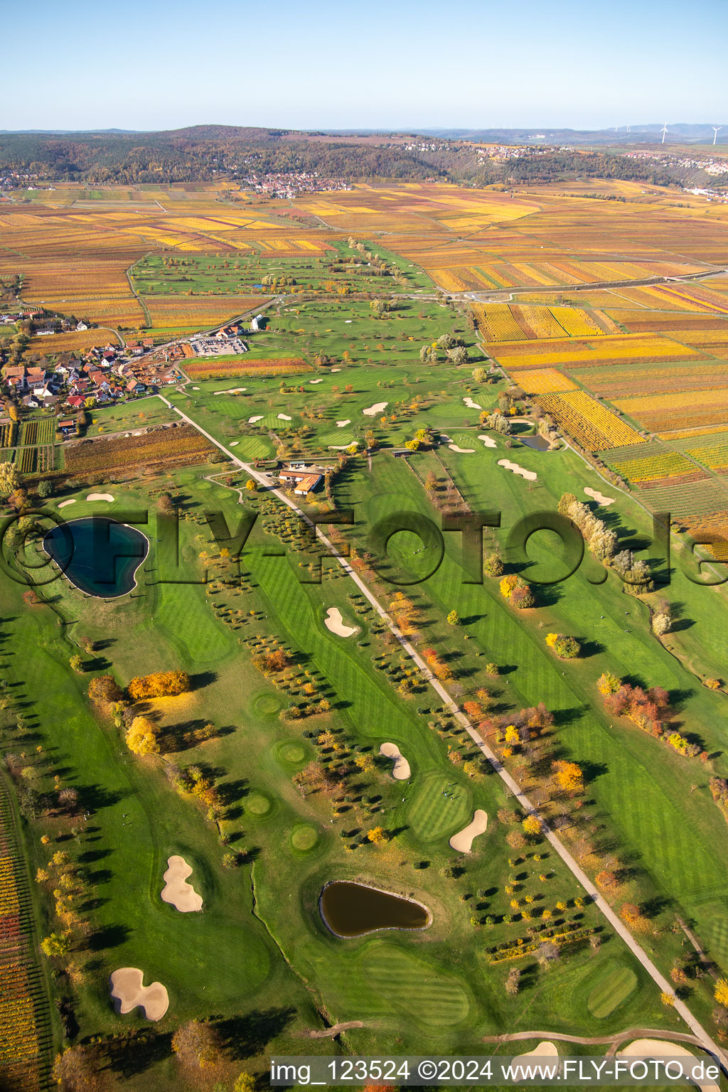 Oblique view of Grounds of the Golf course at Golfgarten Deutsche Weinstrasse - Dackenheim - GOLF absolute in Dackenheim in the state Rhineland-Palatinate, Germany