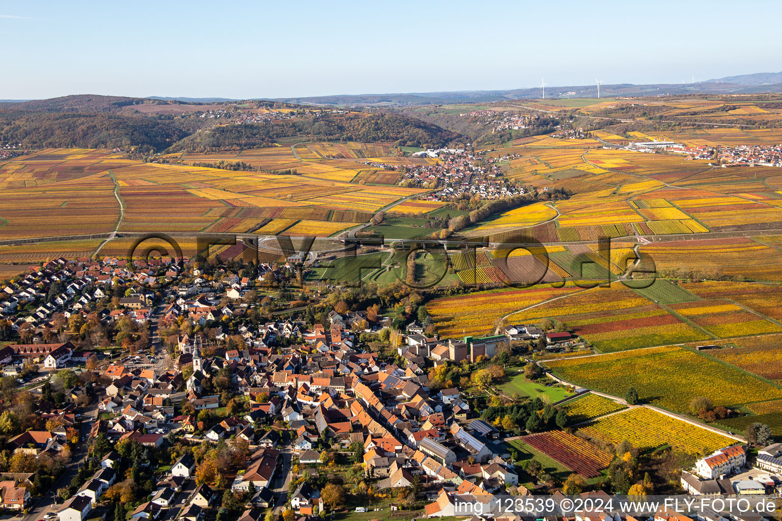 Kirchheim an der Weinstraße in the state Rhineland-Palatinate, Germany from above