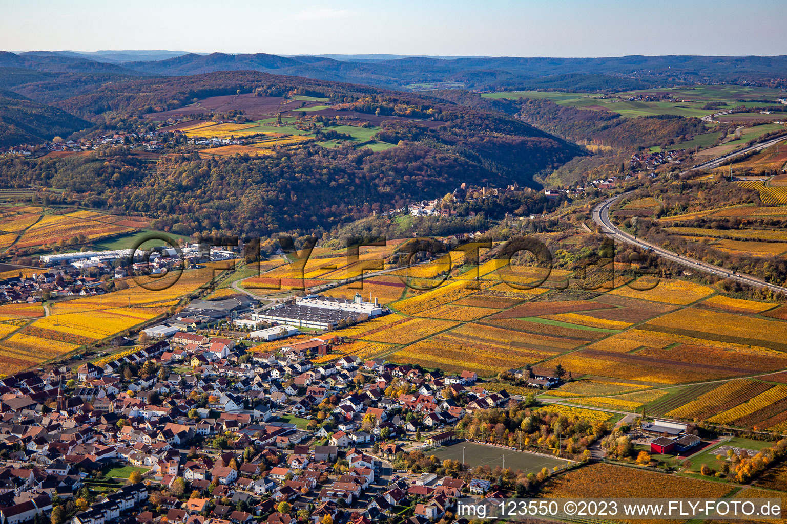 Autumnal discolored vegetation view town center on the edge of vineyards and wineries in the wine-growing area in Sausenheim in the state Rhineland-Palatinate, Germany