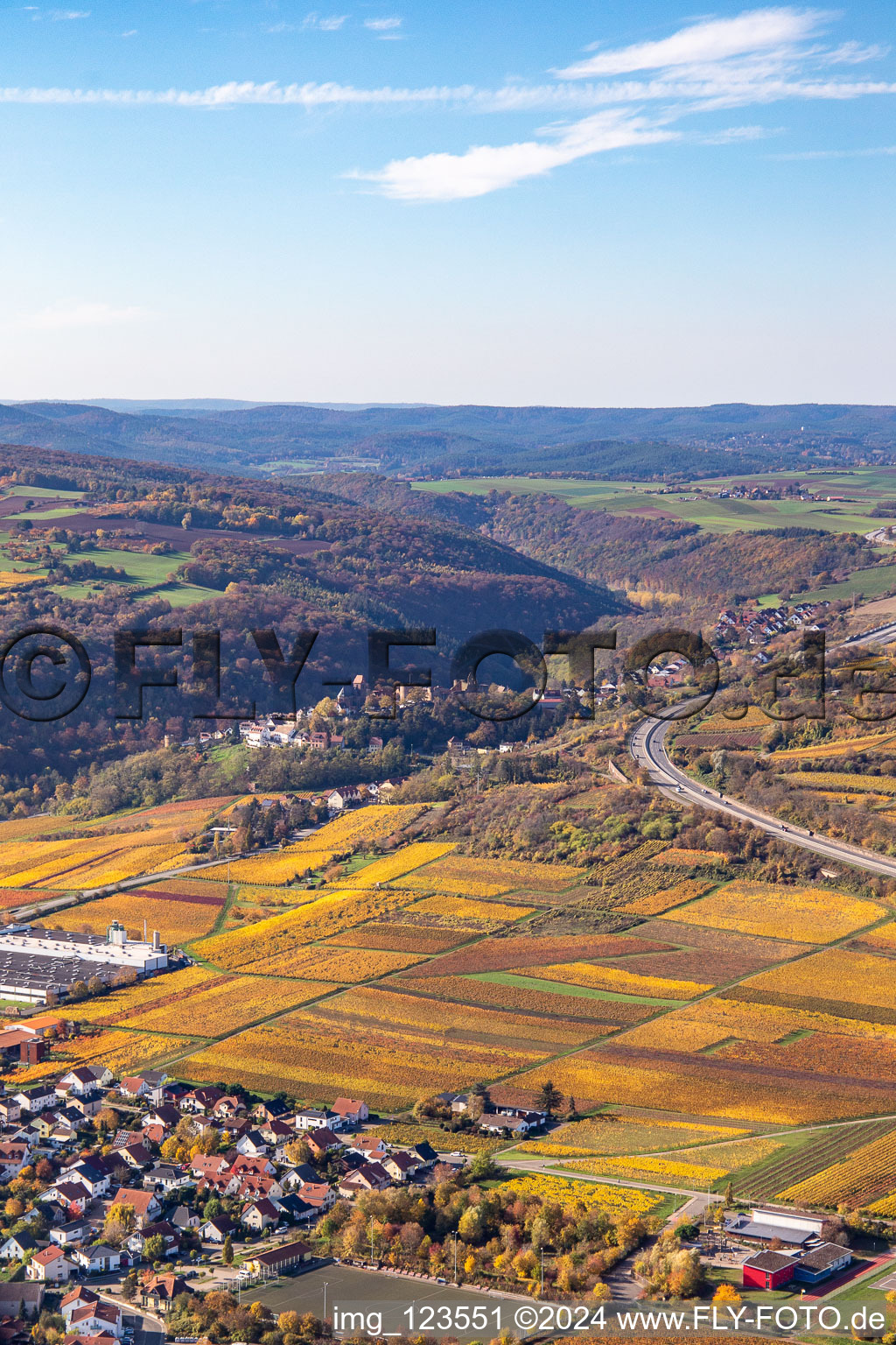 Autumnal discolored vineyards in the wine-growing area between Sausenheim and Neuleiningen in the state Rhineland-Palatinate, Germany