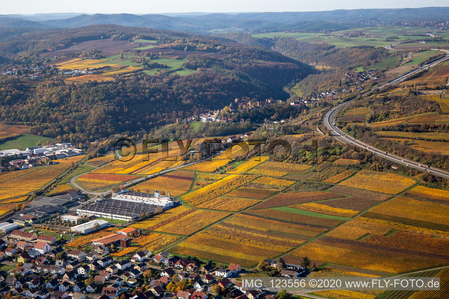 Aerial view of Autumnal discolored vineyards in the wine-growing area between Sausenheim and Neuleiningen in the state Rhineland-Palatinate, Germany