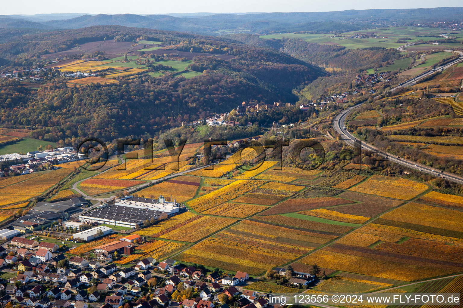 Aerial view of Autumnal discolored vineyards in the wine-growing area between Sausenheim and Neuleiningen in the state Rhineland-Palatinate, Germany