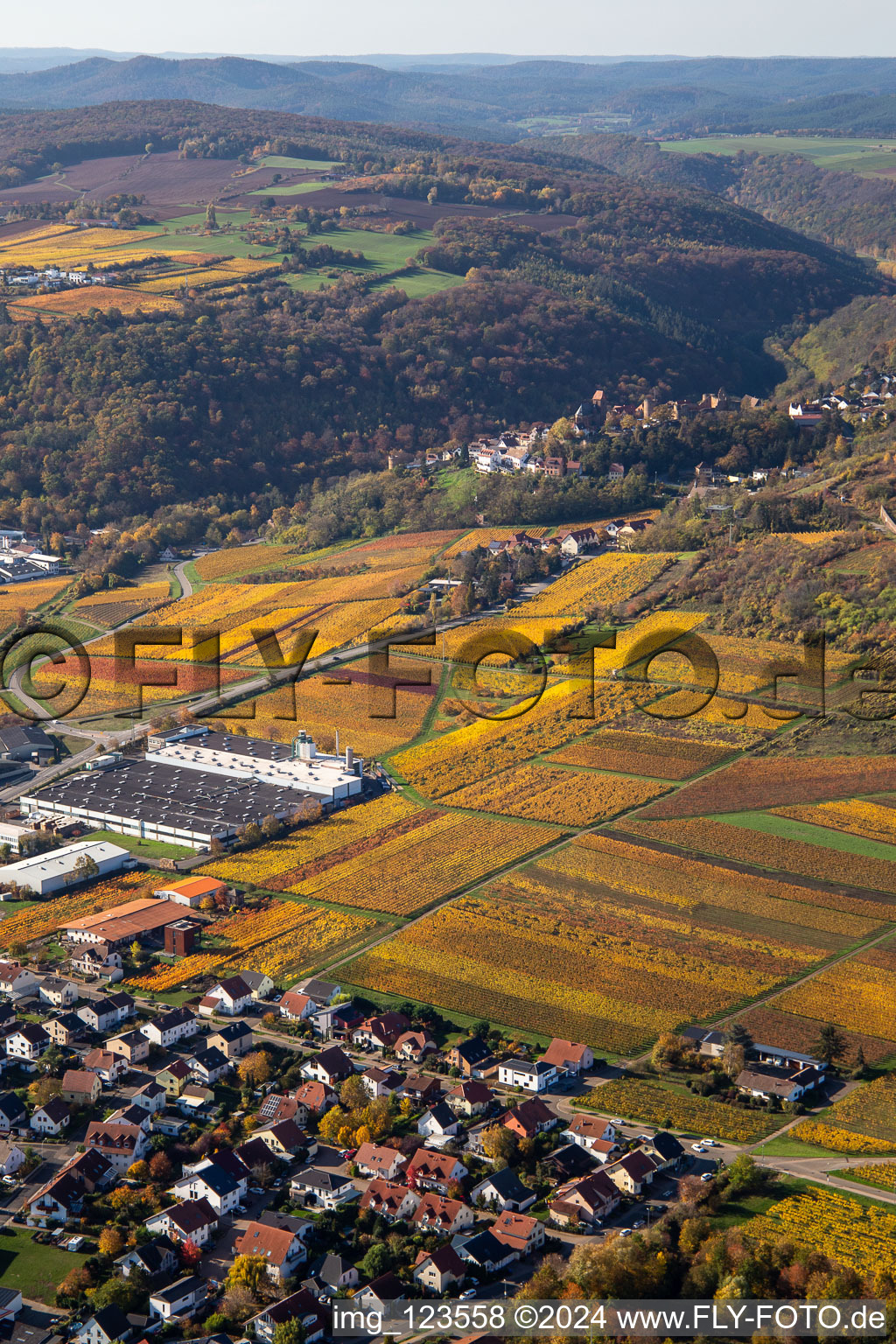 Aerial view of Neuleiningen in the state Rhineland-Palatinate, Germany