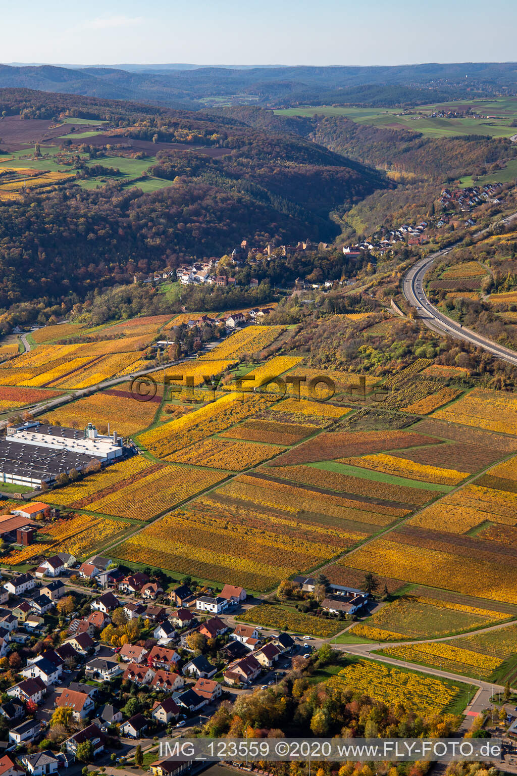 Aerial photograpy of Autumnal discolored vineyards in the wine-growing area between Sausenheim and Neuleiningen in the state Rhineland-Palatinate, Germany
