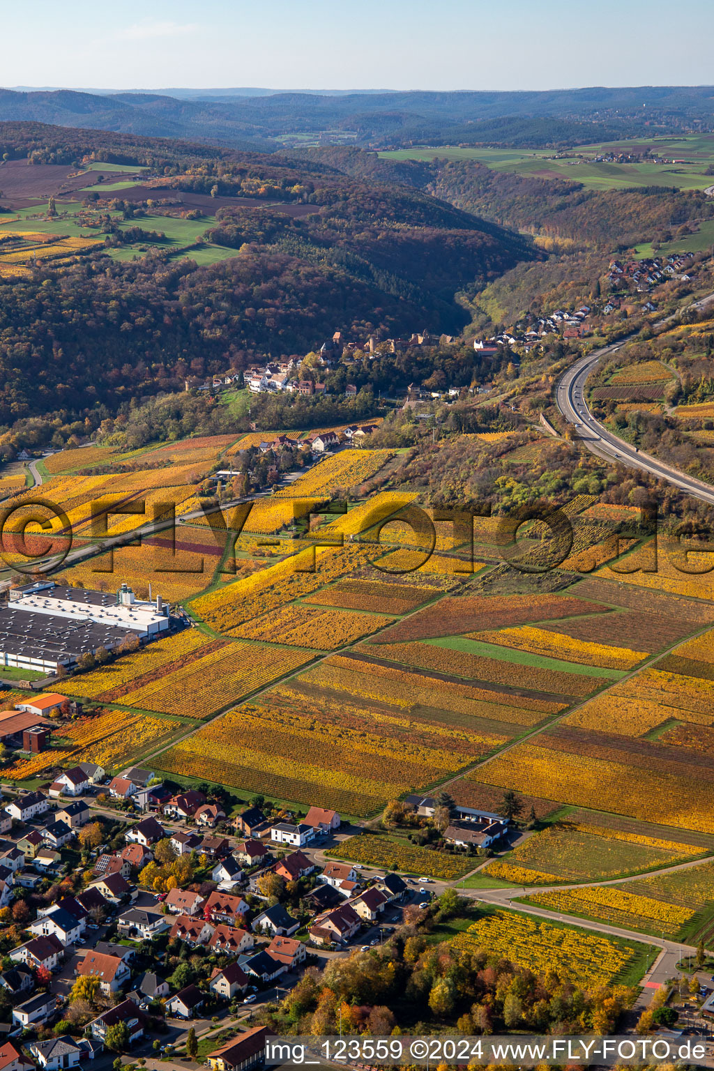 Aerial photograpy of Autumnal discolored vineyards in the wine-growing area between Sausenheim and Neuleiningen in the state Rhineland-Palatinate, Germany