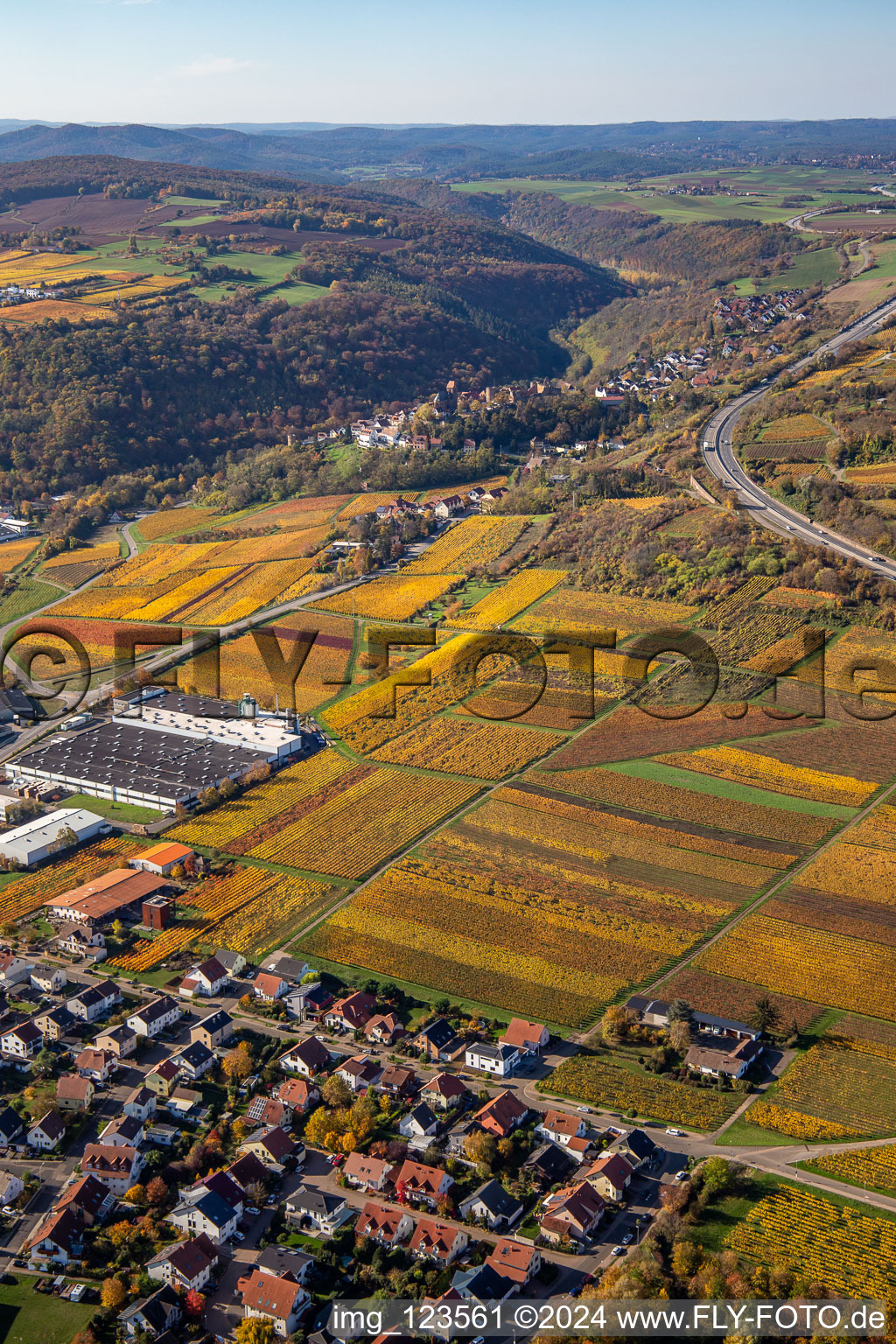 Oblique view of Neuleiningen in the state Rhineland-Palatinate, Germany