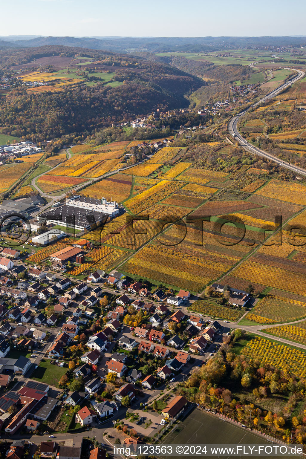 Oblique view of Autumnal discolored vineyards in the wine-growing area between Sausenheim and Neuleiningen in the state Rhineland-Palatinate, Germany