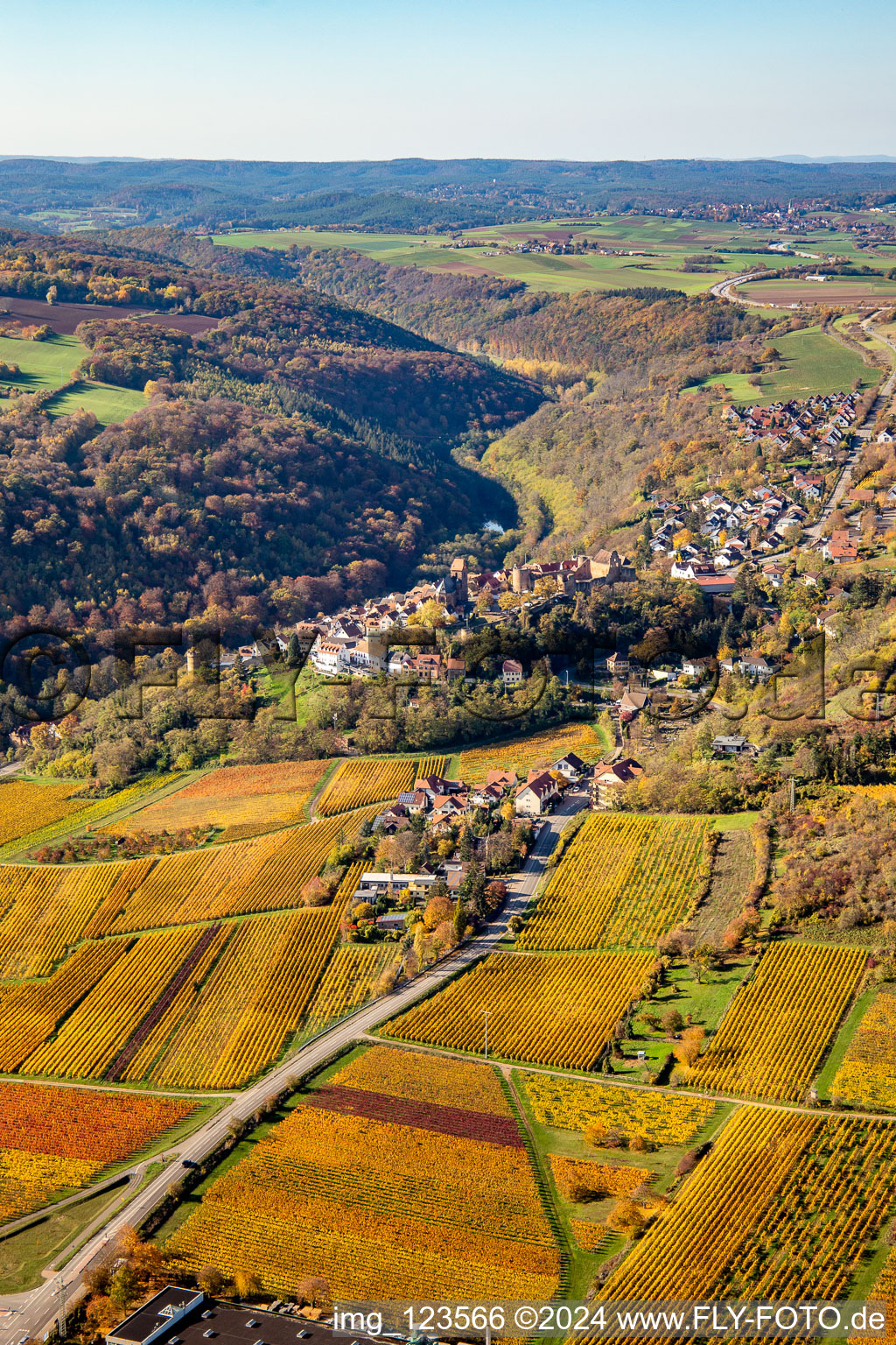 Aerial view of Autumnal discolored vegetation view town center on the edge of vineyards and wineries in the wine-growing area in Neuleiningen in the state Rhineland-Palatinate, Germany