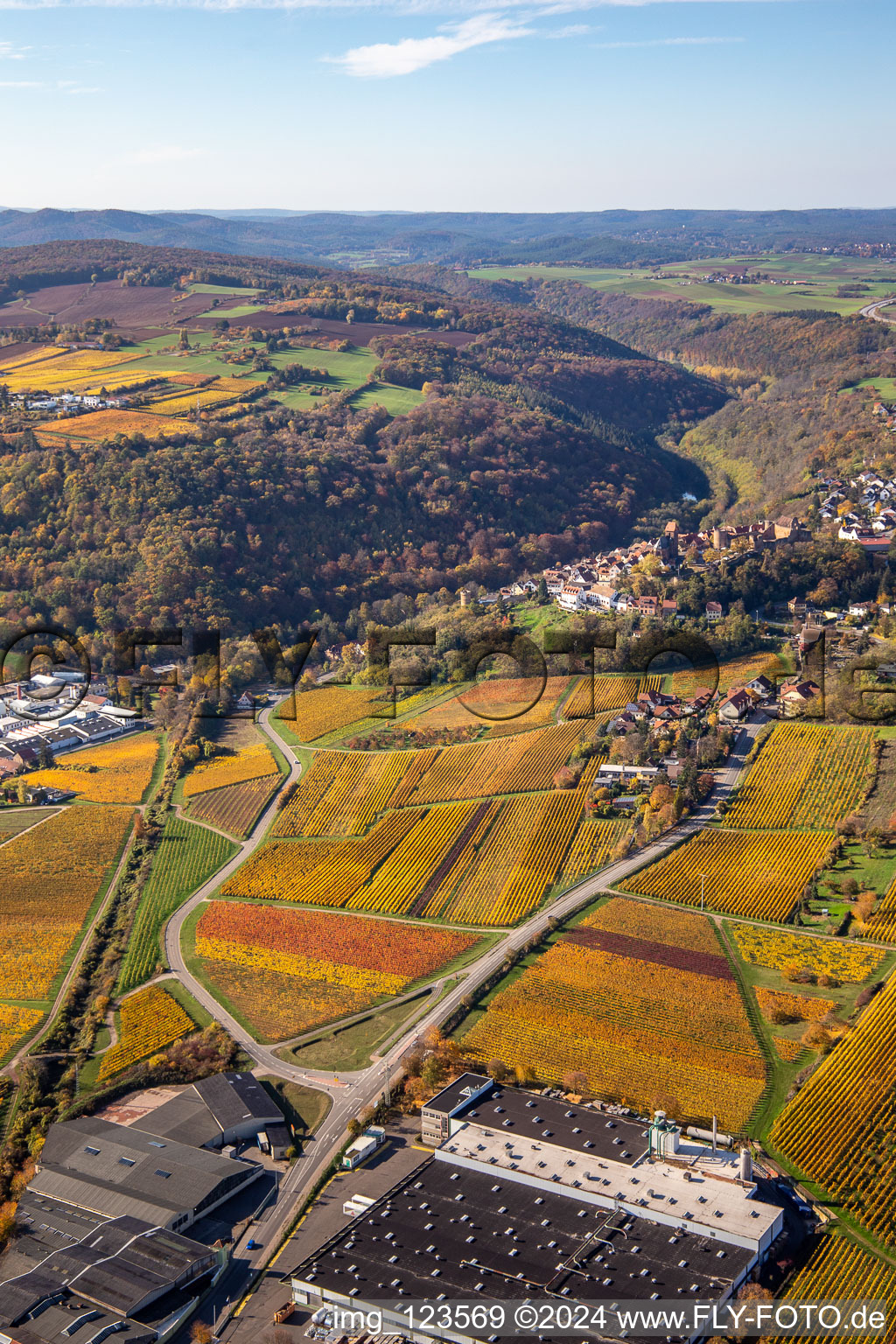 Neuleiningen in the state Rhineland-Palatinate, Germany from the plane