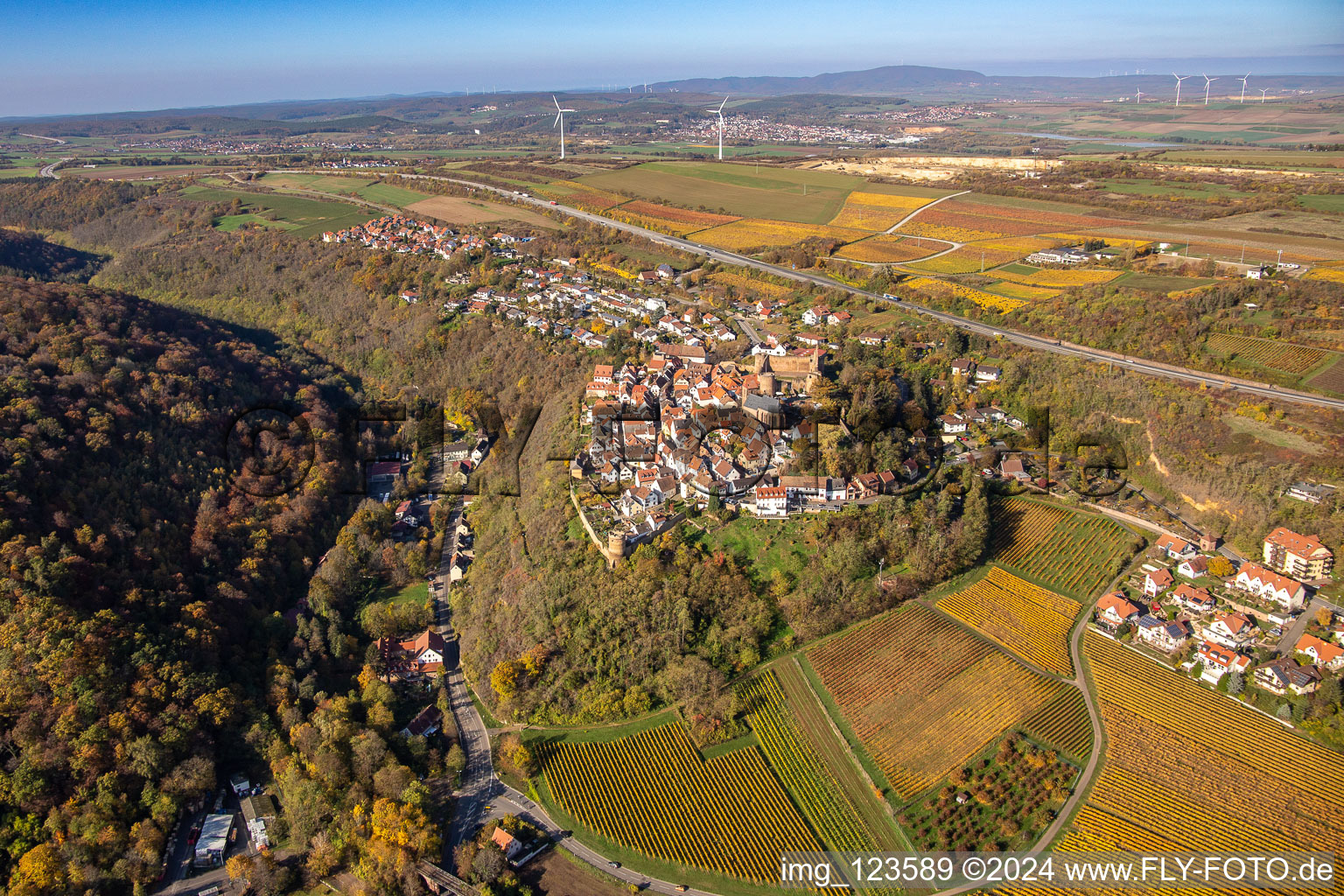 Autumnal discolored vegetation view town center on the edge of vineyards and wineries in the wine-growing area in Neuleiningen in the state Rhineland-Palatinate, Germany