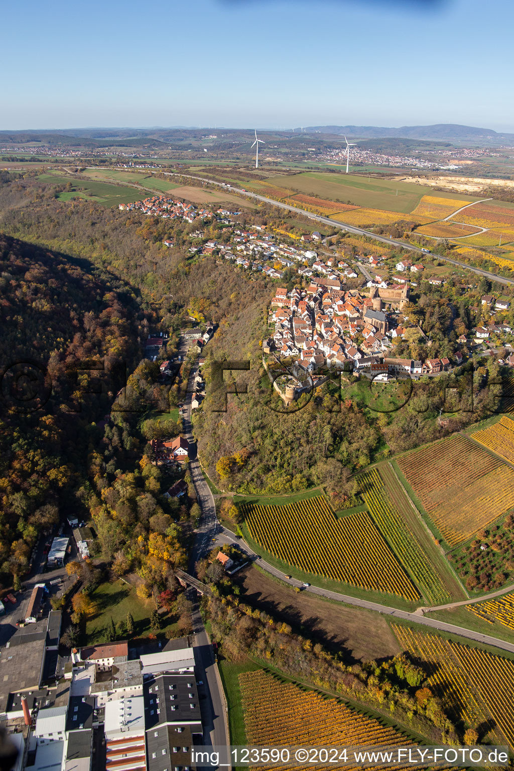 Aerial view of Neulingen Castle in Neuleiningen in the state Rhineland-Palatinate, Germany