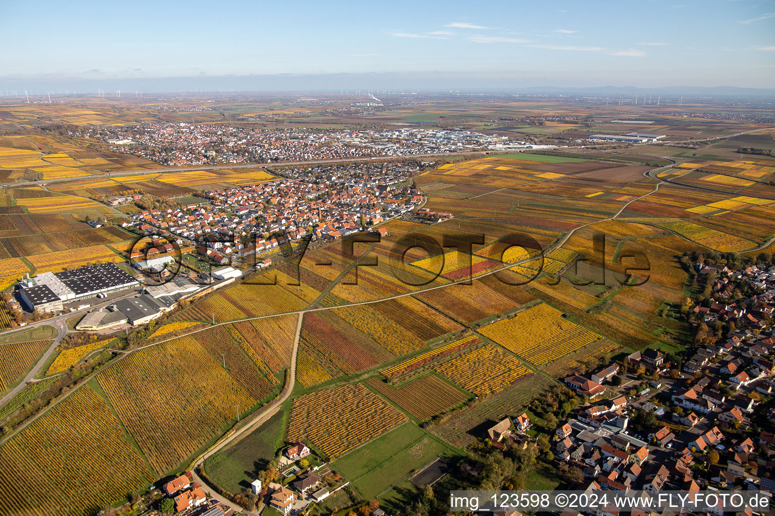 Village view in the district Sausenheim in Gruenstadt in the state Rhineland-Palatinate, Germany