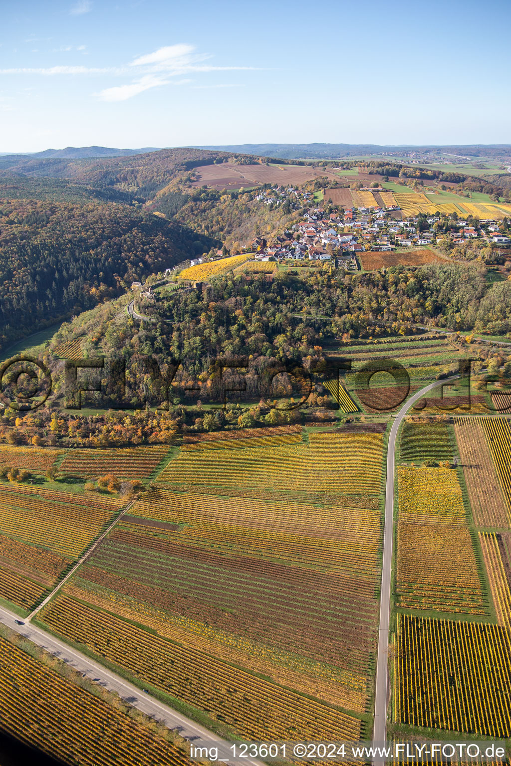 Autumnal discolored vegetation view fields of wine cultivation landscape in Battenberg (Pfalz) in the state Rhineland-Palatinate, Germany