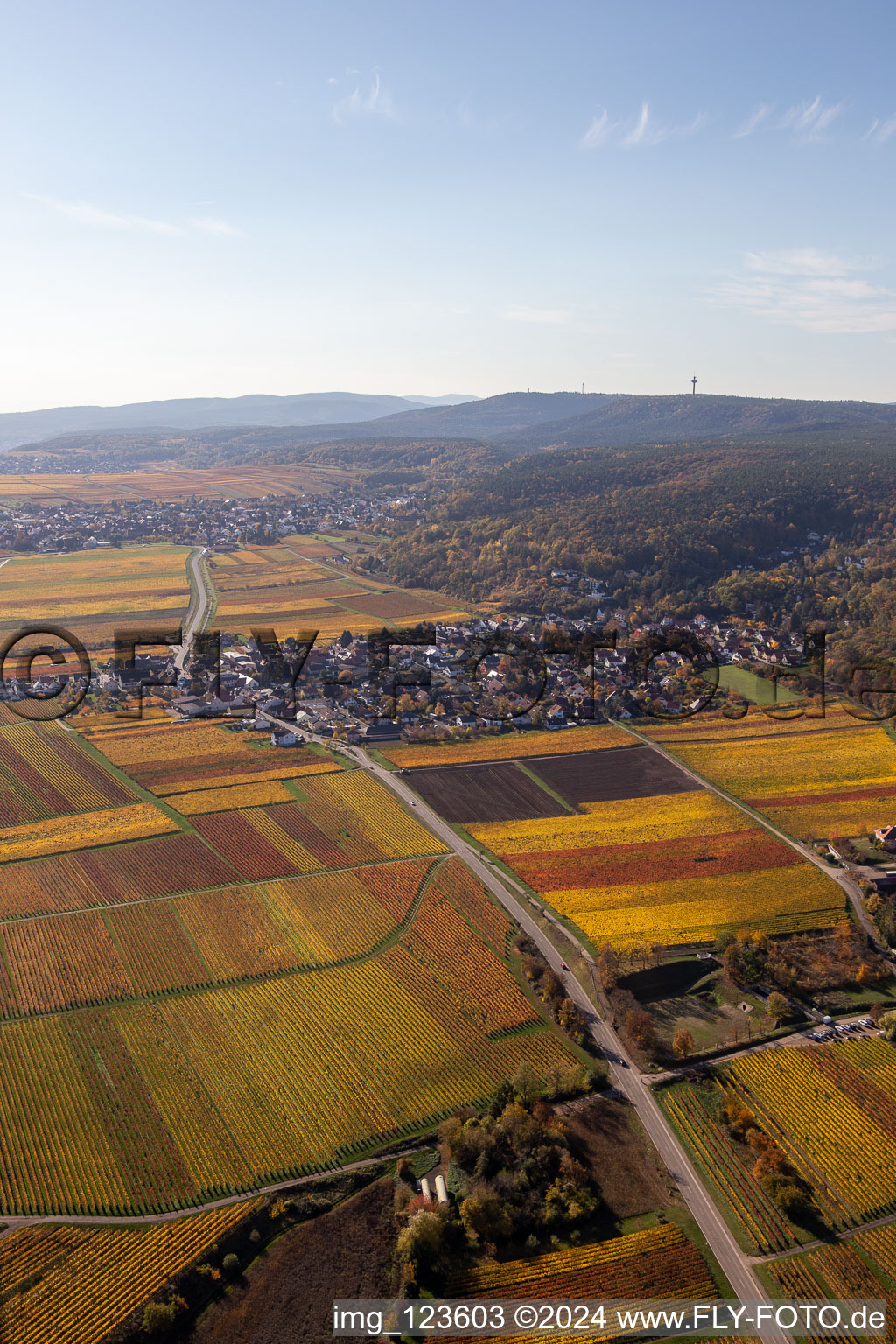 District Bobenheim in Bobenheim am Berg in the state Rhineland-Palatinate, Germany