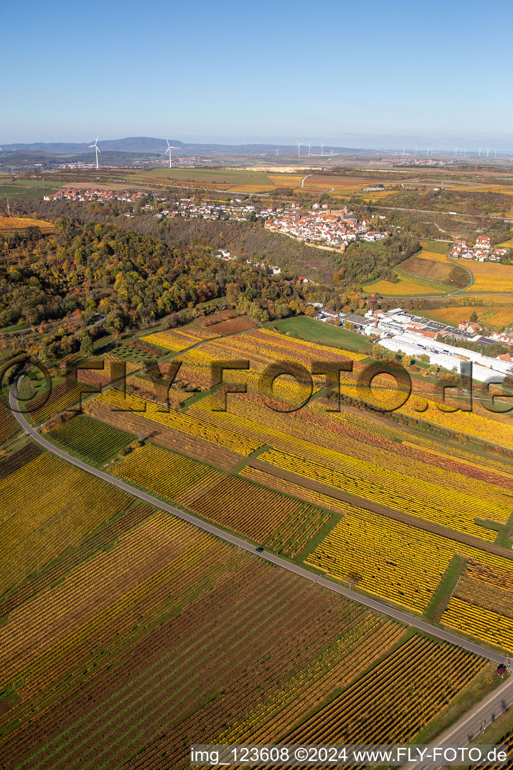 Aerial view of Kleinkarlbach in the state Rhineland-Palatinate, Germany