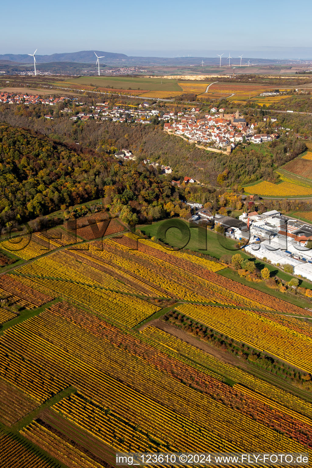 Autumnal discolored vineyards in the wine-growing area around the premises of Gechem GmbH & Co. KG in Neuleiningen in the state Rhineland-Palatinate, Germany