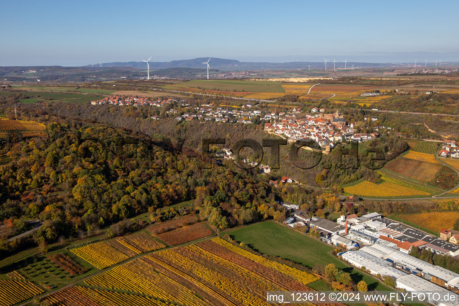 Neuleiningen in the state Rhineland-Palatinate, Germany from a drone