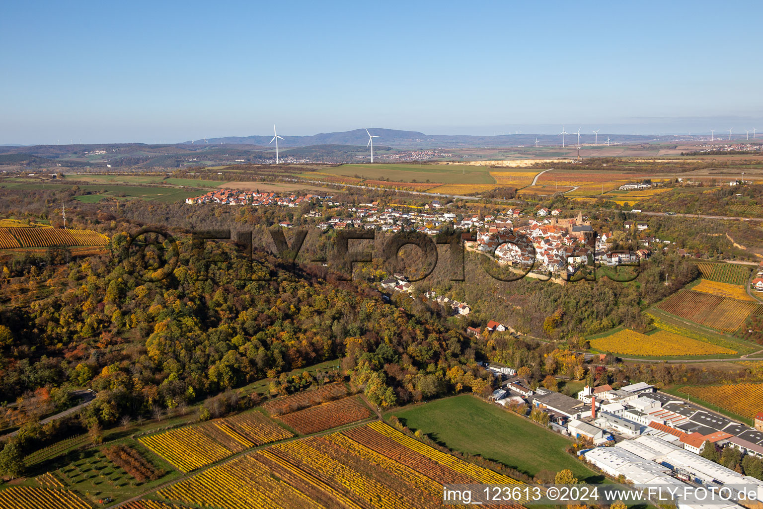 Aerial view of Autumnal discolored vineyards in the wine-growing area around the premises of Gechem GmbH & Co. KG in Neuleiningen in the state Rhineland-Palatinate, Germany