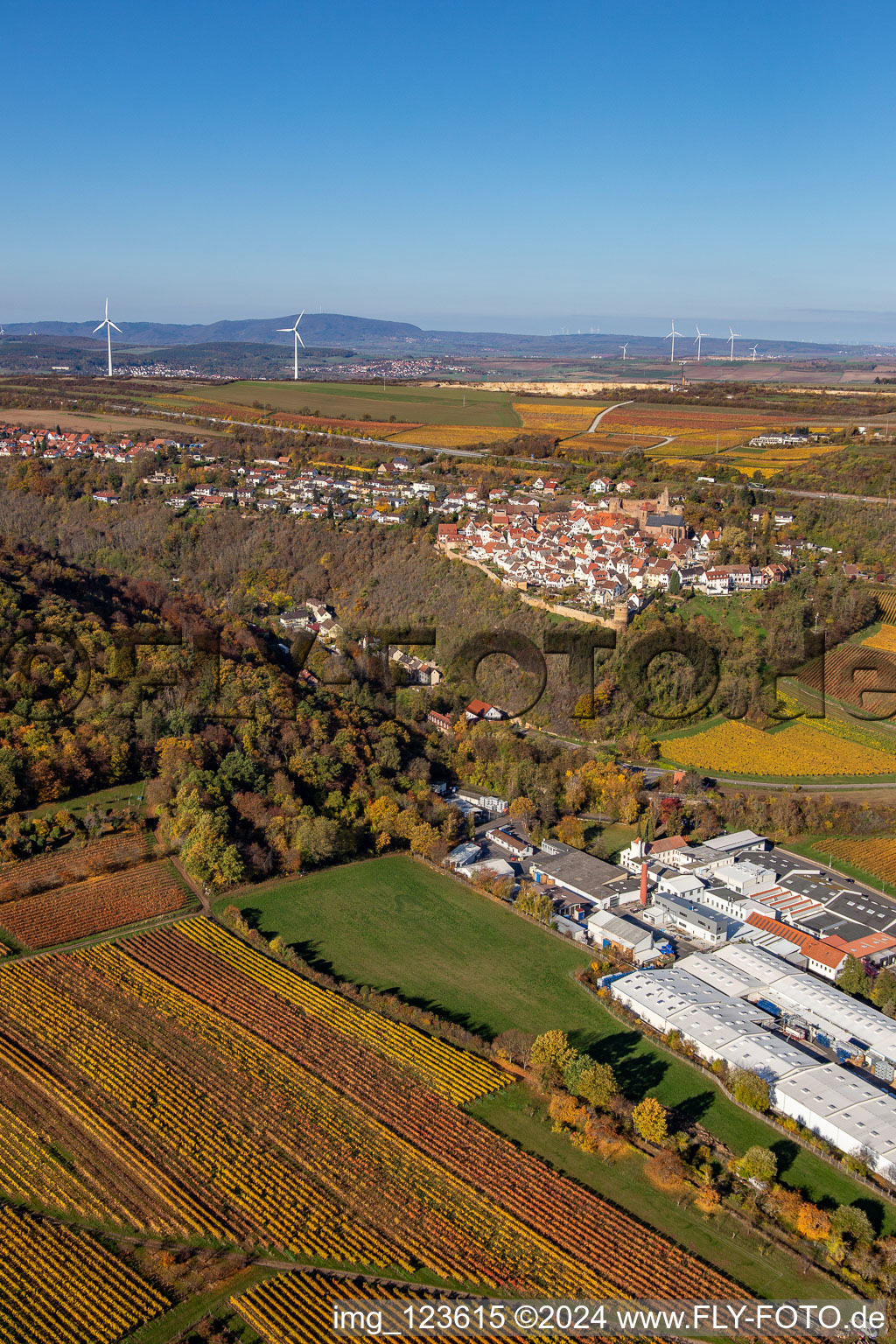 Aerial photograpy of Autumnal discolored vineyards in the wine-growing area around the premises of Gechem GmbH & Co. KG in Neuleiningen in the state Rhineland-Palatinate, Germany