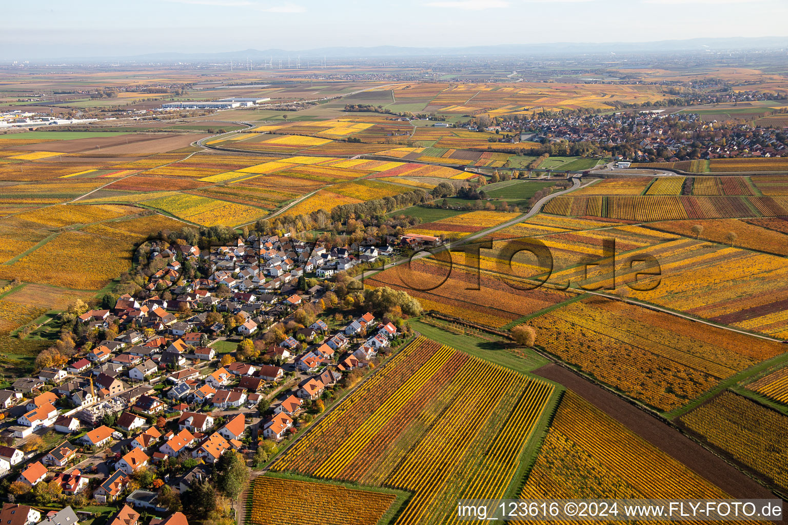 Aerial photograpy of Kleinkarlbach in the state Rhineland-Palatinate, Germany