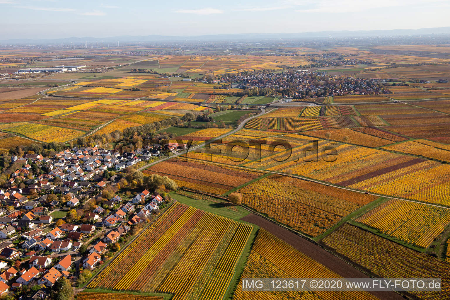 Autumnal discolored wineyards betweeen Kleinkarlbach and Kirchheim an der Weinstrasse in the state Rhineland-Palatinate, Germany