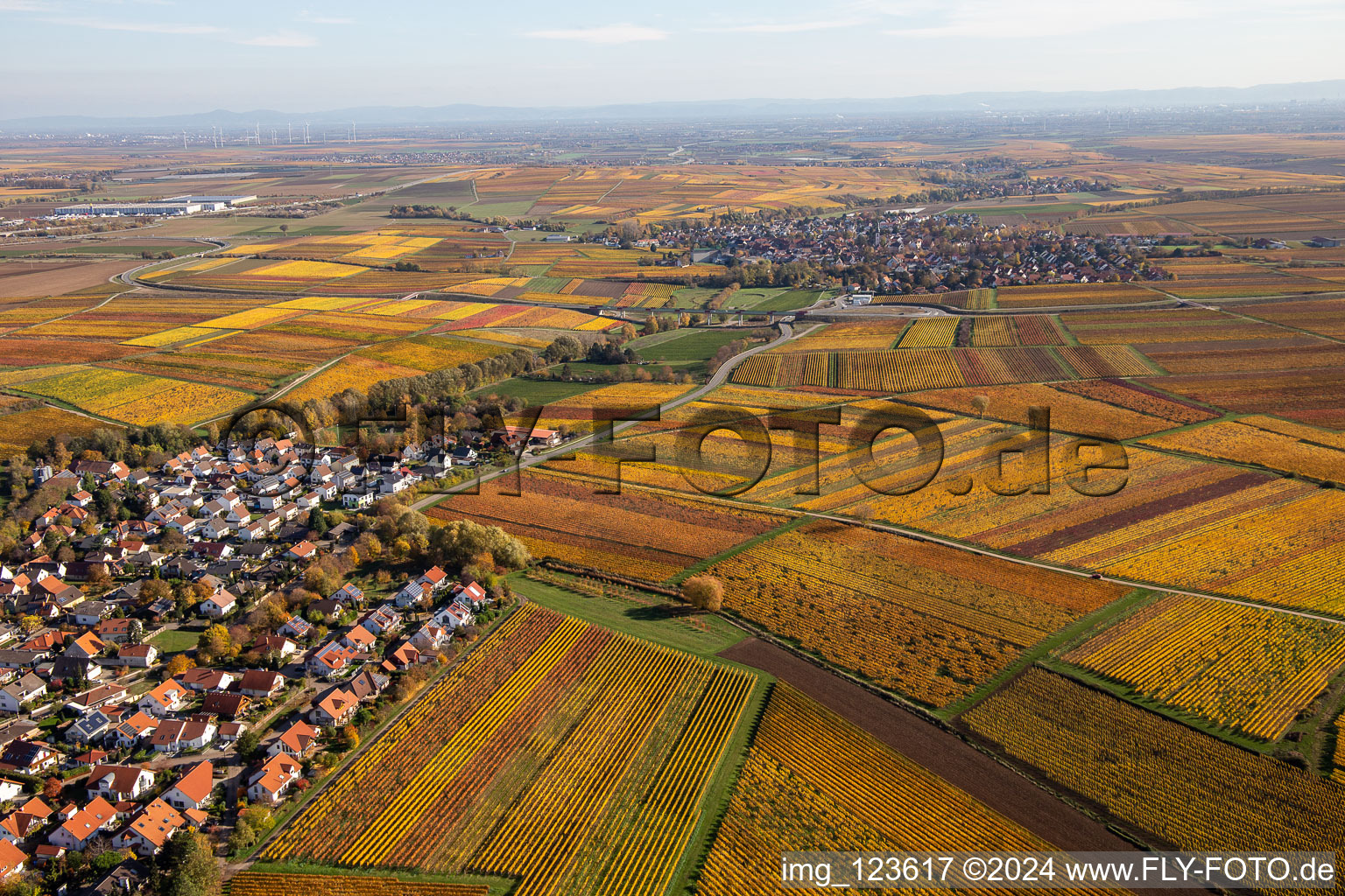 Autumnal discolored wineyards betweeen Kleinkarlbach and Kirchheim an der Weinstrasse in the state Rhineland-Palatinate, Germany