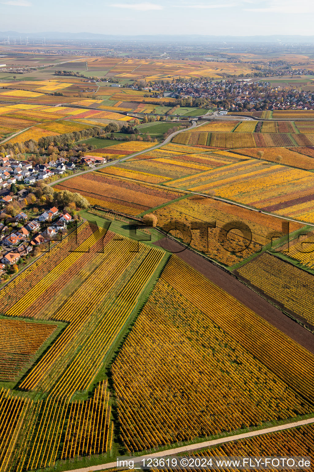 Oblique view of Kleinkarlbach in the state Rhineland-Palatinate, Germany