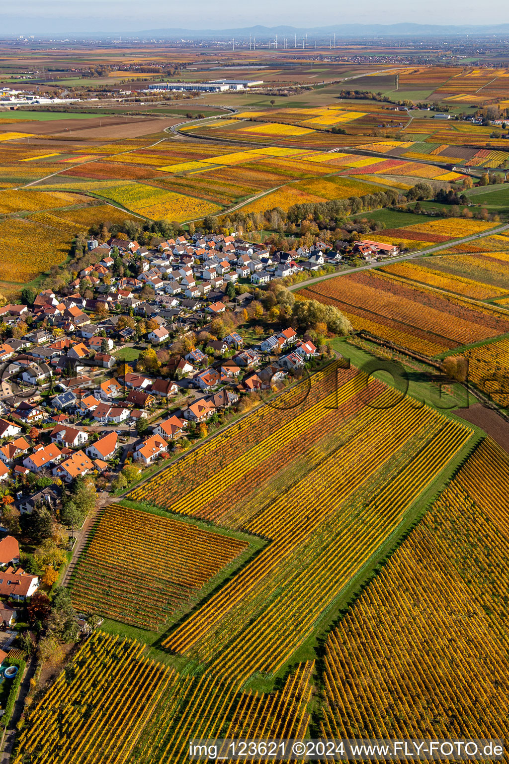 Kleinkarlbach in the state Rhineland-Palatinate, Germany from above