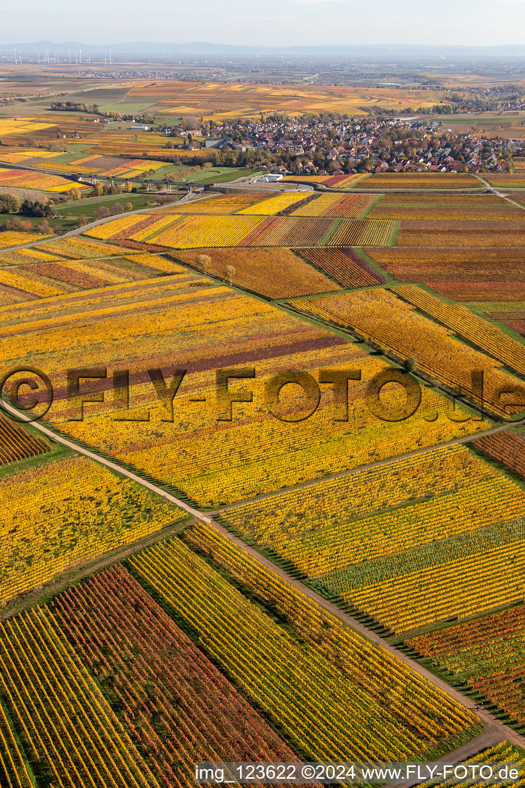 Kirchheim an der Weinstraße in the state Rhineland-Palatinate, Germany out of the air