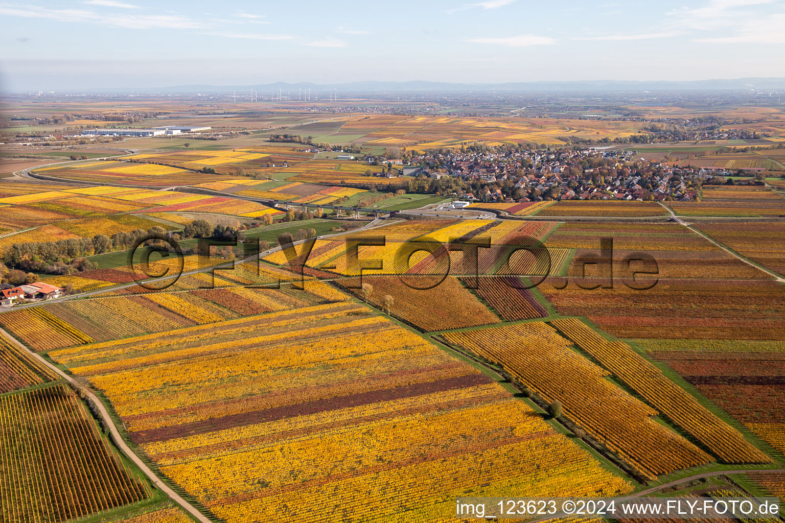 Kirchheim an der Weinstraße in the state Rhineland-Palatinate, Germany seen from above