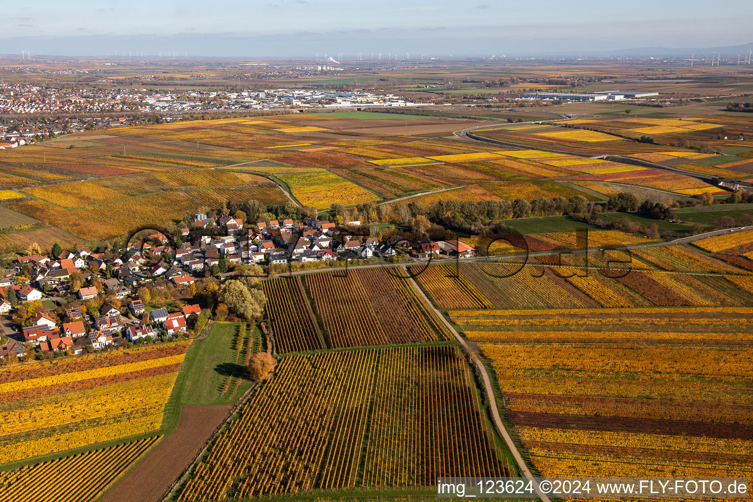 Kleinkarlbach in the state Rhineland-Palatinate, Germany out of the air