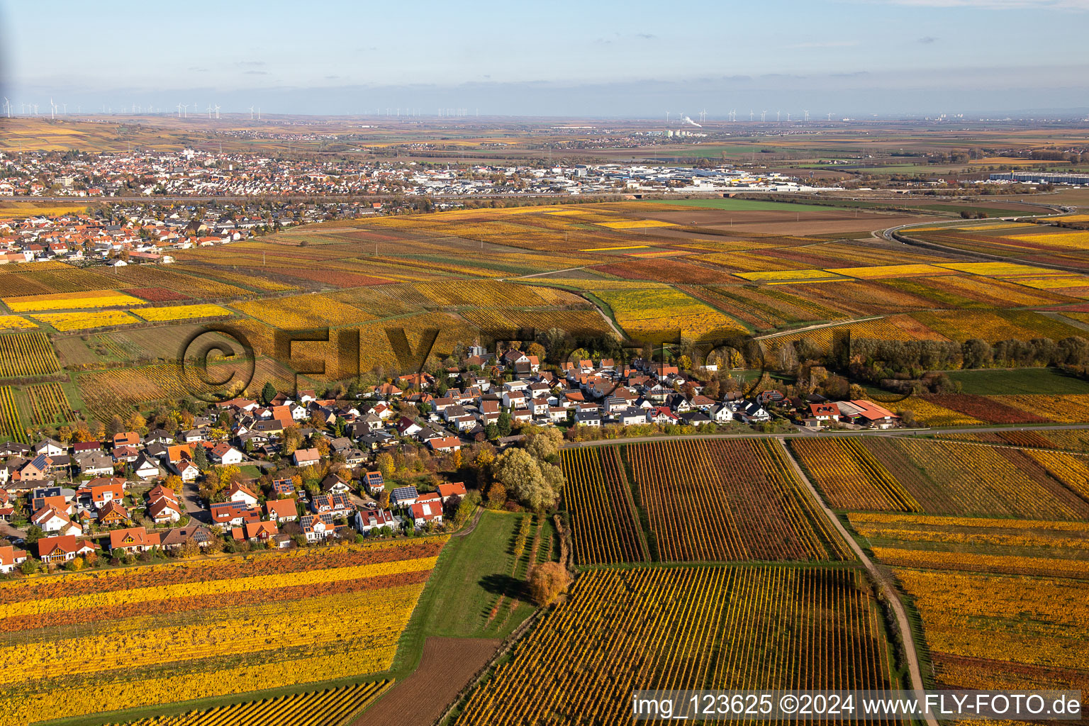 Kleinkarlbach in the state Rhineland-Palatinate, Germany seen from above