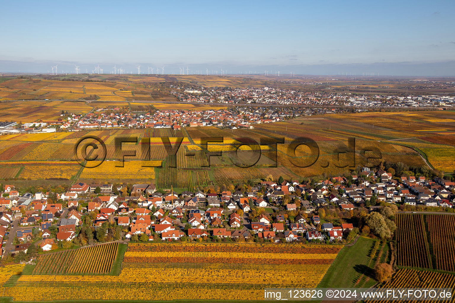 Autumnal discolored wineyards betweeen Kleinkarlbach and Sausenheim in the state Rhineland-Palatinate, Germany