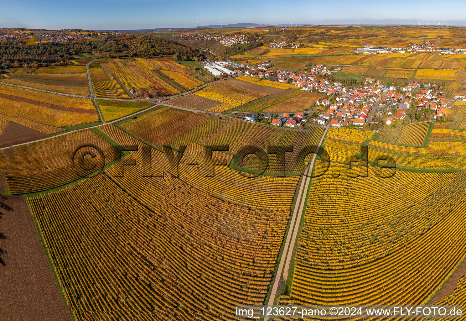 Kleinkarlbach in the state Rhineland-Palatinate, Germany from the plane