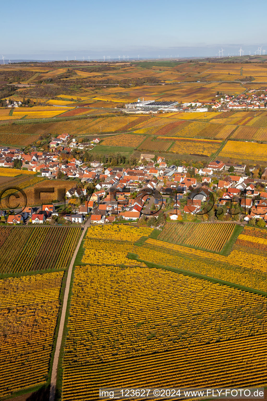 Bird's eye view of Kleinkarlbach in the state Rhineland-Palatinate, Germany