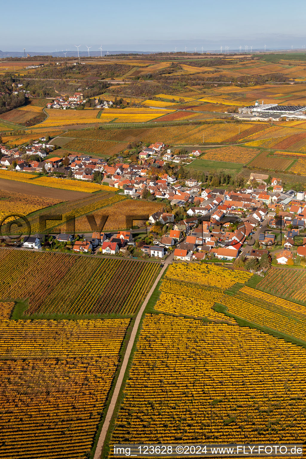 Kleinkarlbach in the state Rhineland-Palatinate, Germany viewn from the air