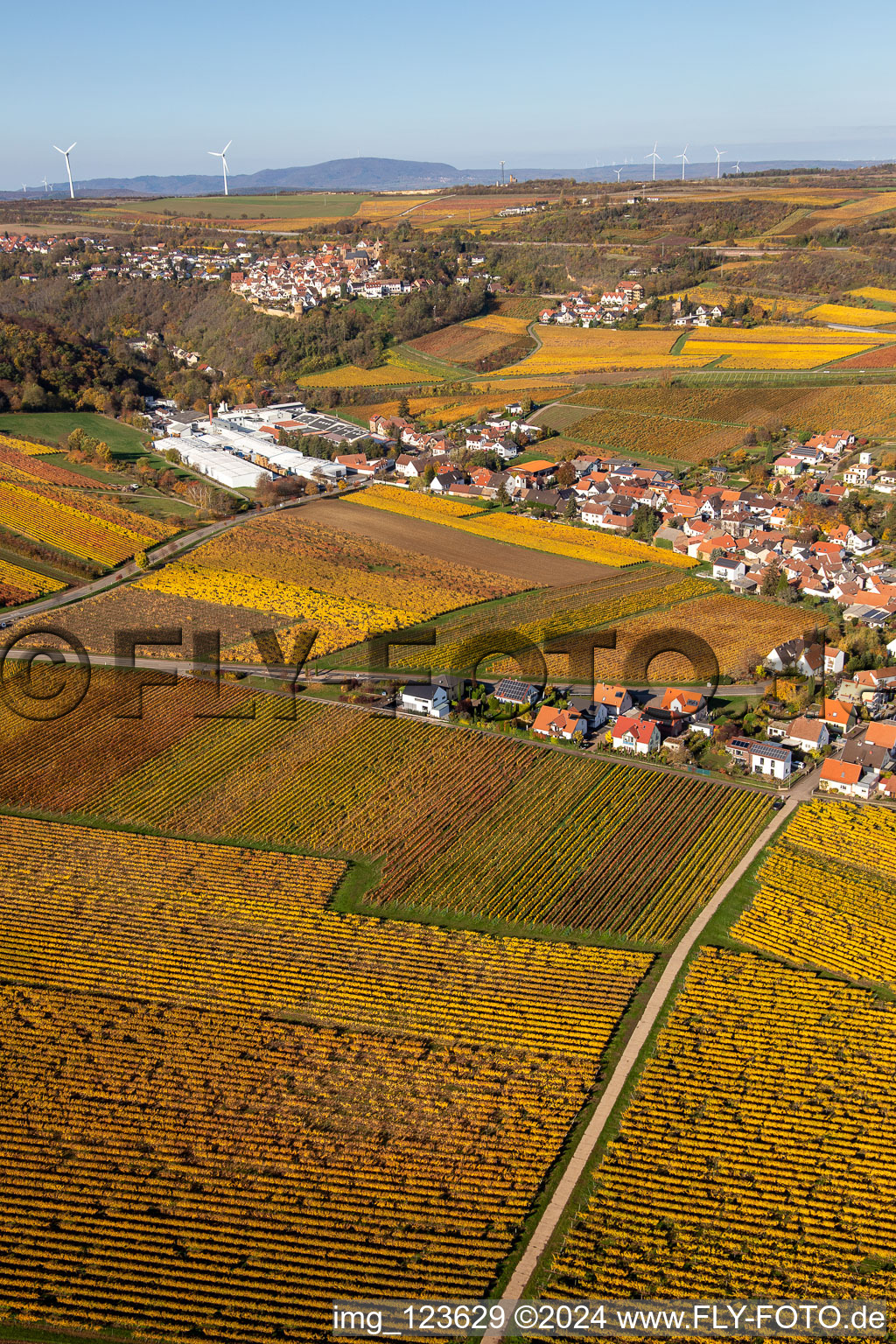 Drone recording of Kleinkarlbach in the state Rhineland-Palatinate, Germany