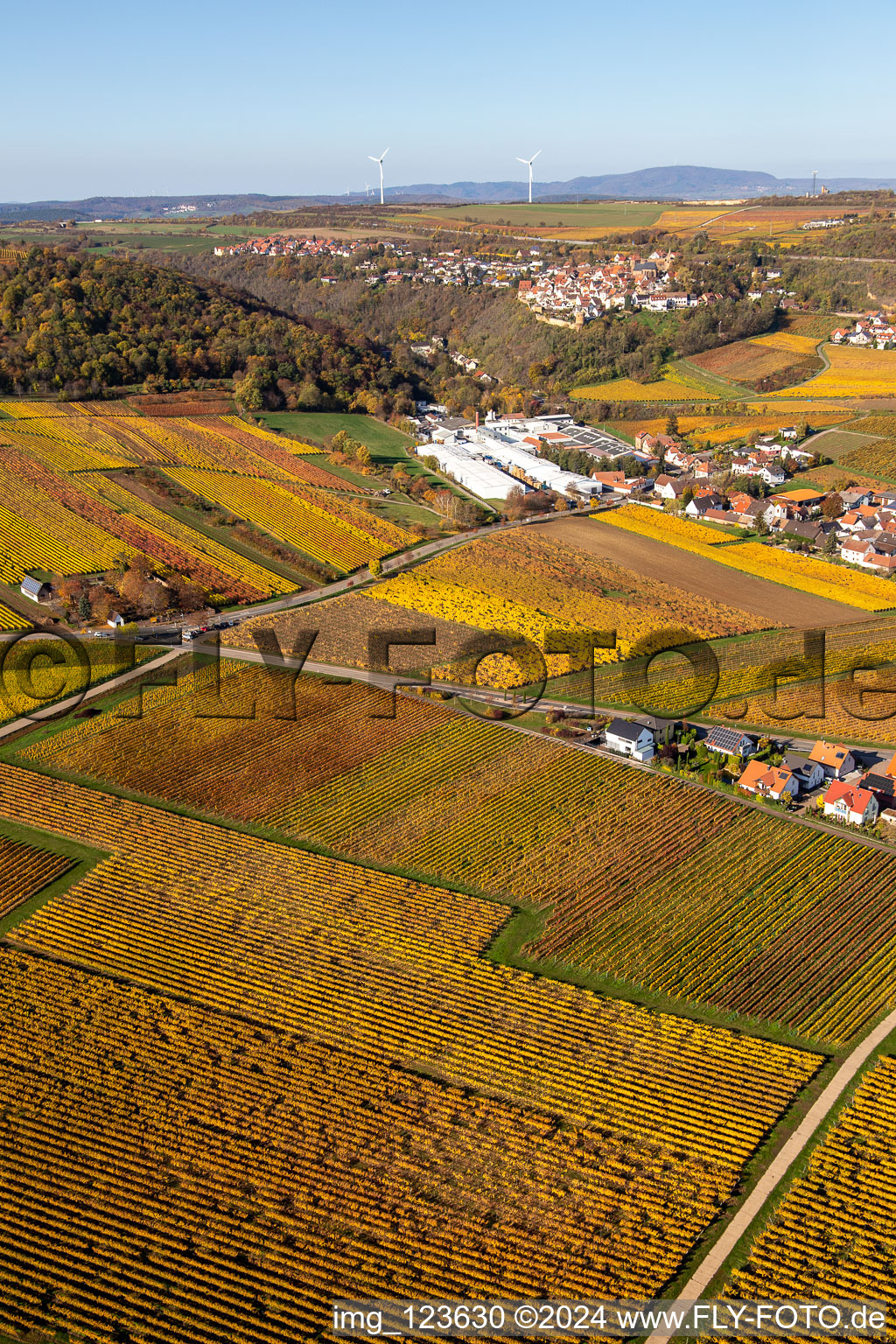 Drone image of Kleinkarlbach in the state Rhineland-Palatinate, Germany