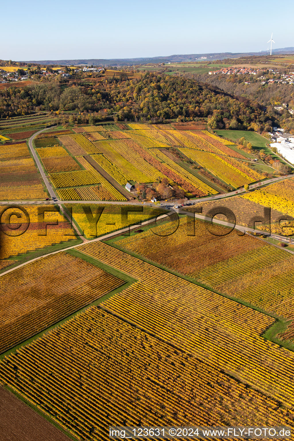 Kleinkarlbach in the state Rhineland-Palatinate, Germany from the drone perspective