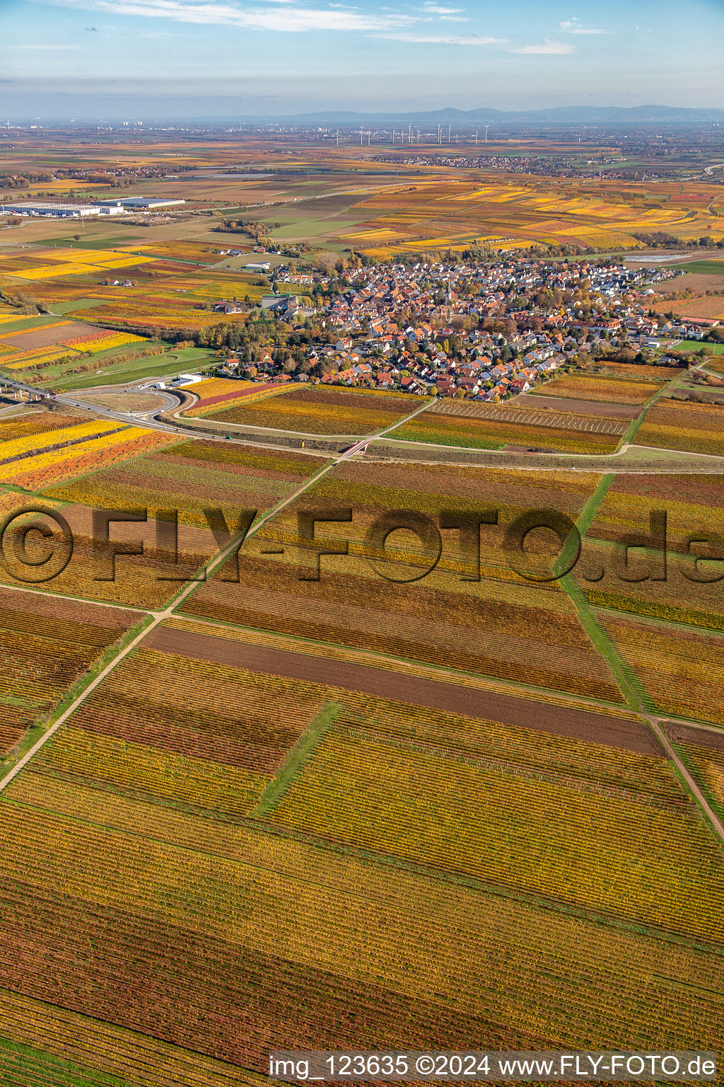 Kleinkarlbach in the state Rhineland-Palatinate, Germany from a drone