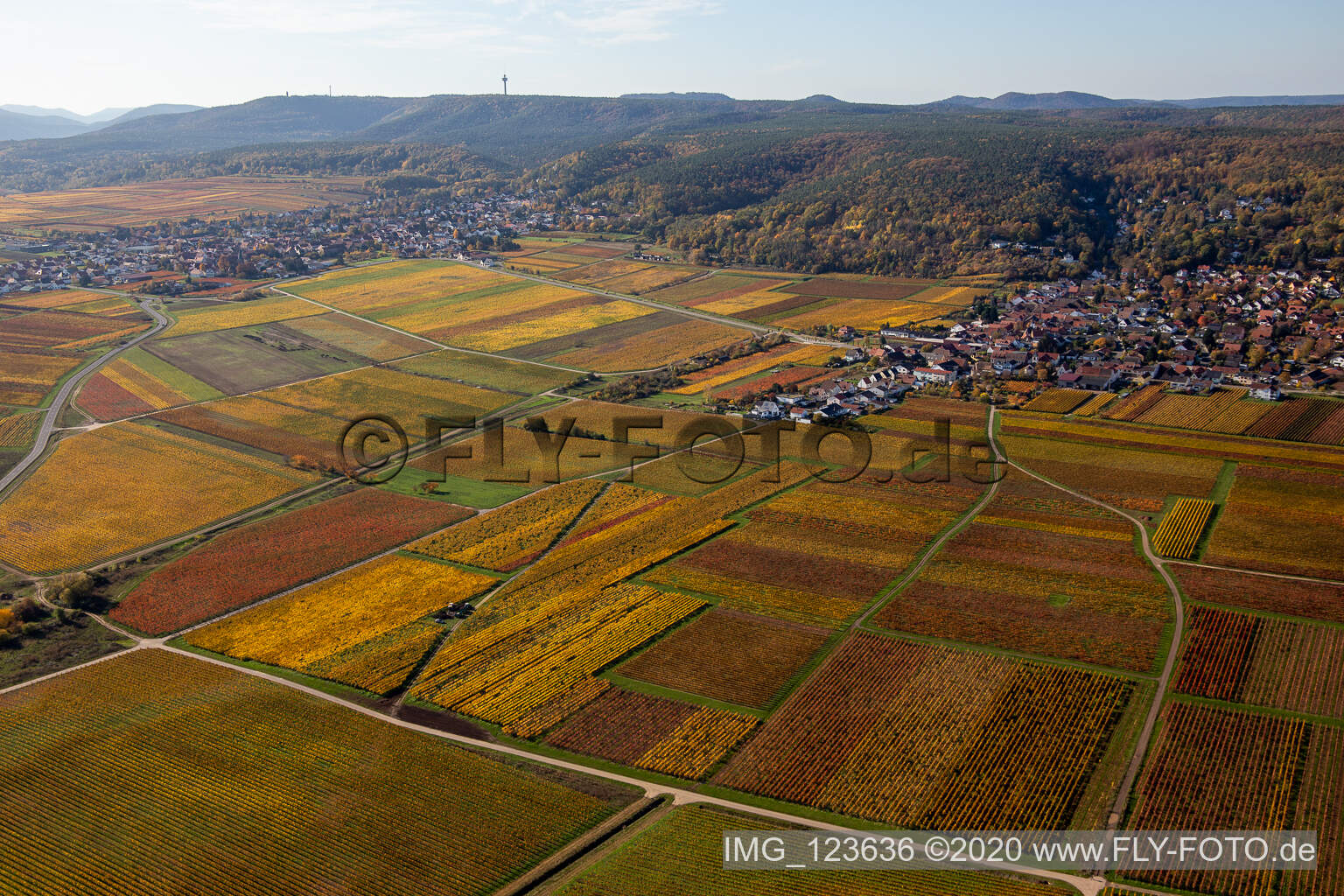 Autumnal discolored vegetation view of the rhine valley landscape surrounded by Palatinian mountains in Bobenheim am Berg in the state Rhineland-Palatinate, Germany