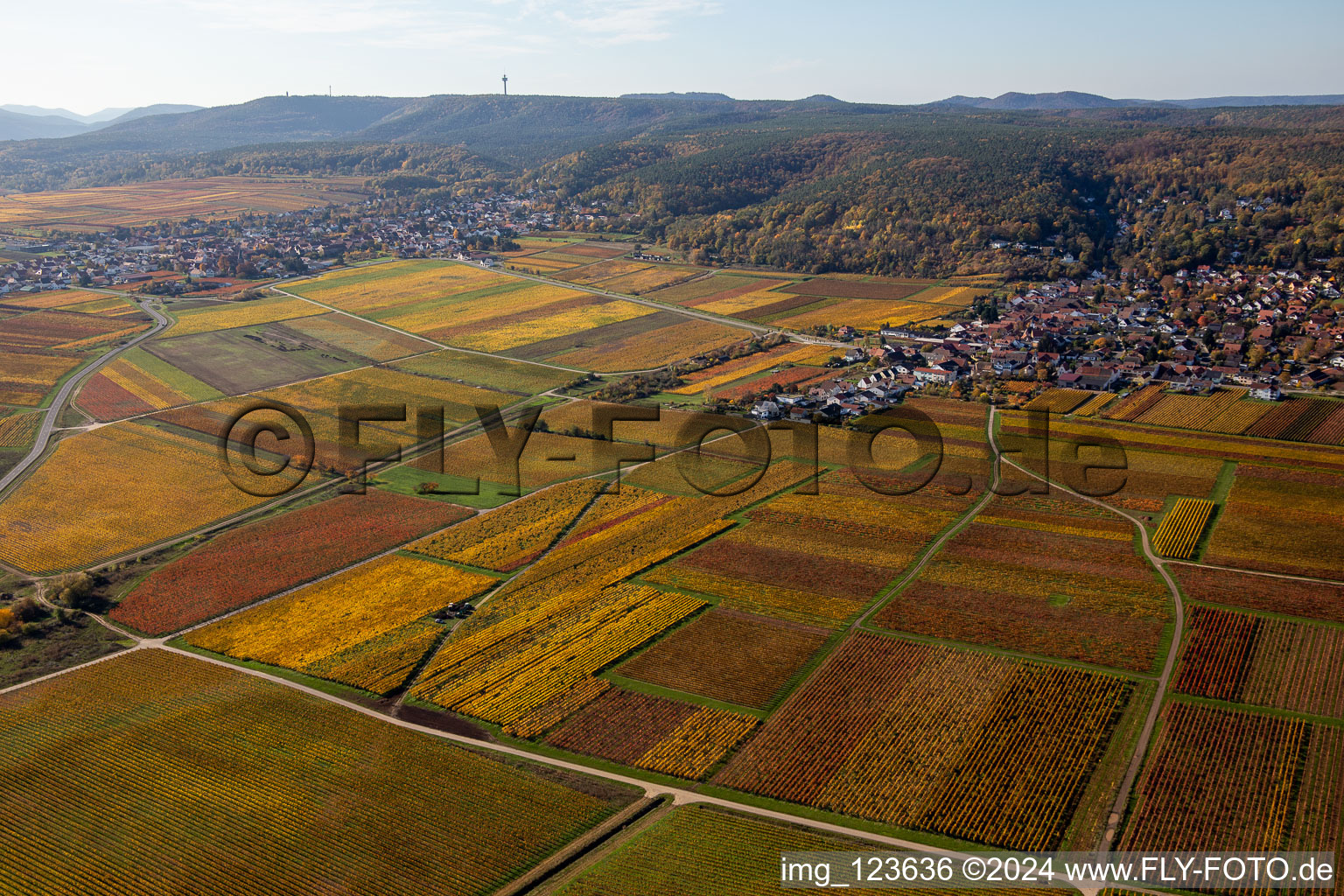 Autumnal discolored vegetation view of the rhine valley landscape surrounded by Palatinian mountains in Bobenheim am Berg in the state Rhineland-Palatinate, Germany